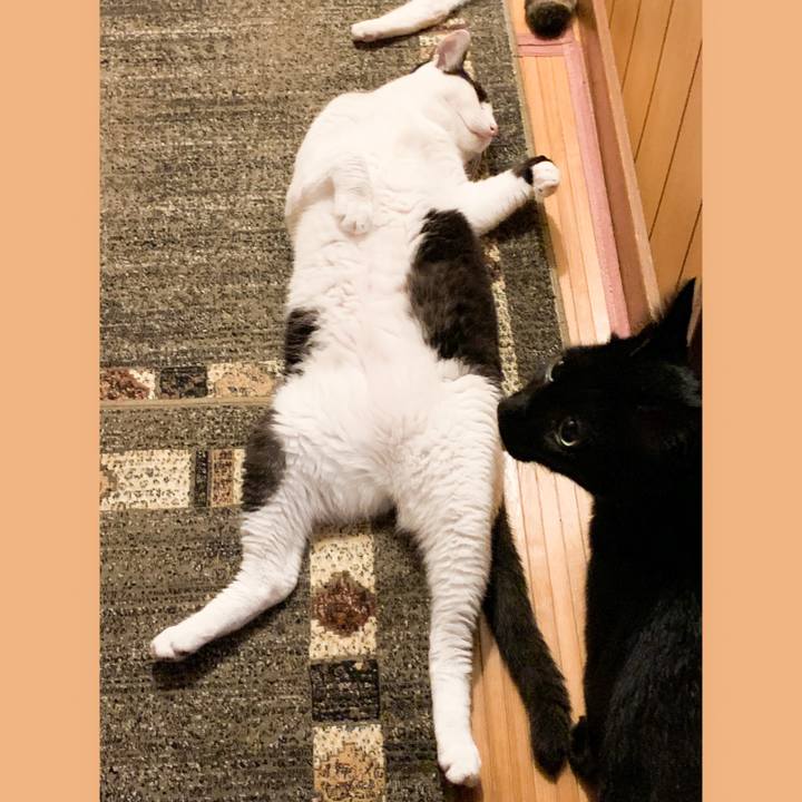 6a2af7b1 92e4 4c05 8348 22c8401fd3cb 1570329091801