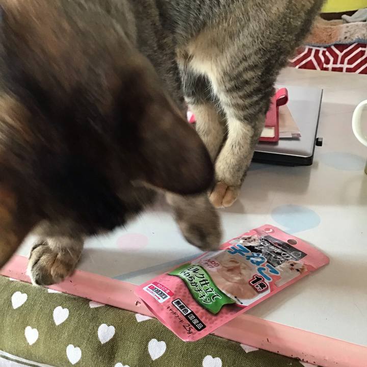 6a2b0a8c 357d 424e bbcb ea9224718c44 1576294769462