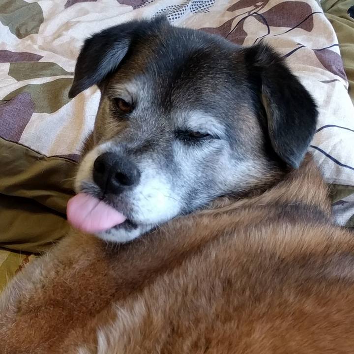 6a2b0f19 f63d 4c0d b0d9 9d08dcd1c8a6 1555280965596