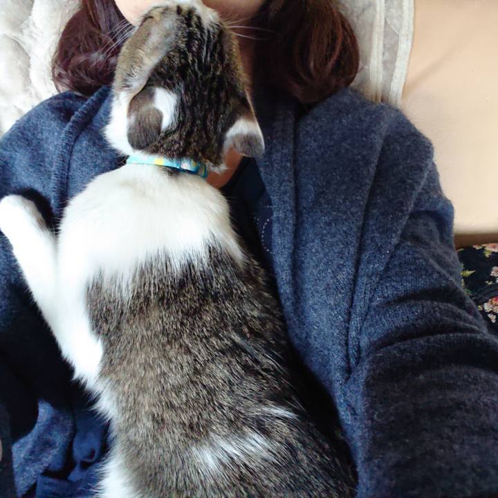 6a2b2f8e 6c91 47cc bc71 c4ce300e6fac 1552792542118