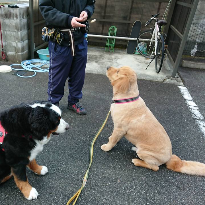 6a2b2fc8 e1e7 4b6d 8c8e 9415c9e34b8b 1552298545023