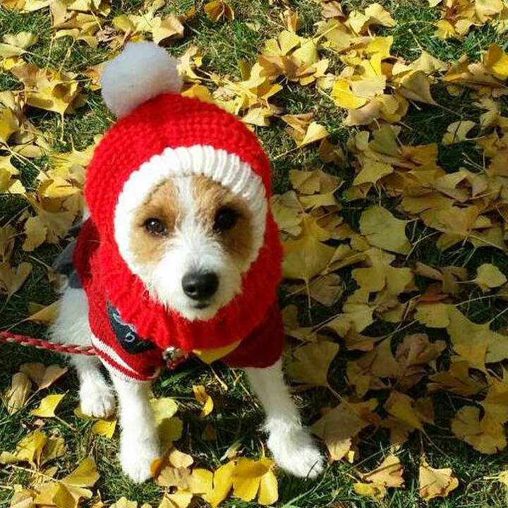 6a2b32d3 b5f1 49a4 9724 b1d56d5c8c05 1542844966166