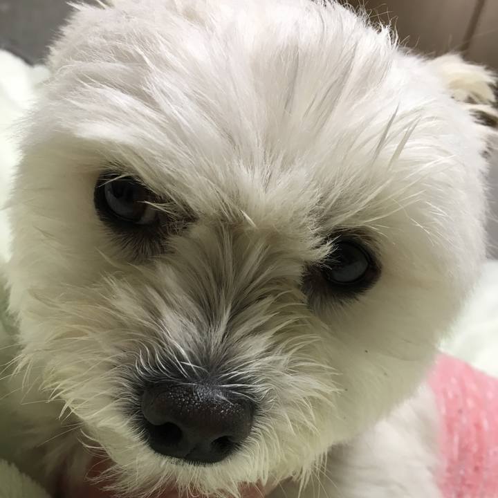 6a2b3f67 8af8 4d46 8840 fd72f9d0c8a4 1541331912638