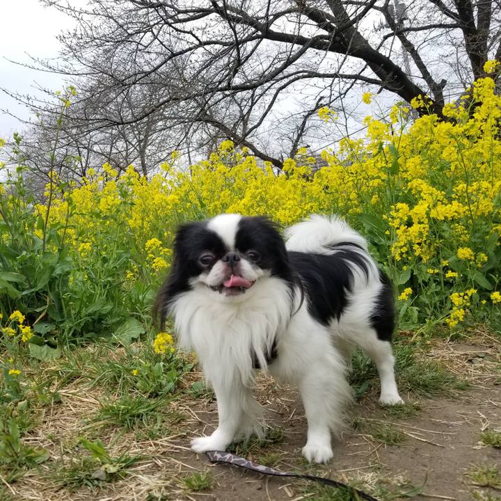 6a2badbb 38f8 4730 9e04 da97b5136e1d 1679048968978