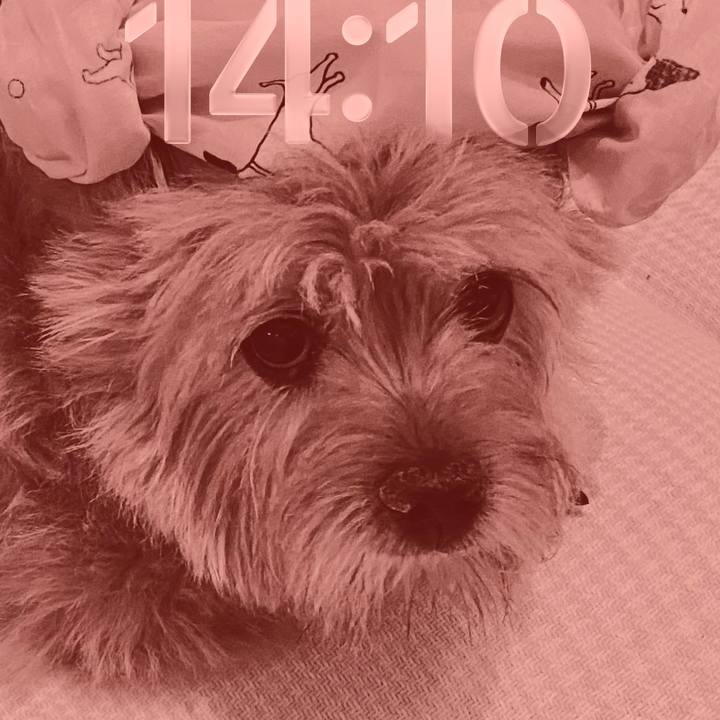 6a2bbf56 0d5b 4a5d baa1 0bcb3f1cf313 1768885917284