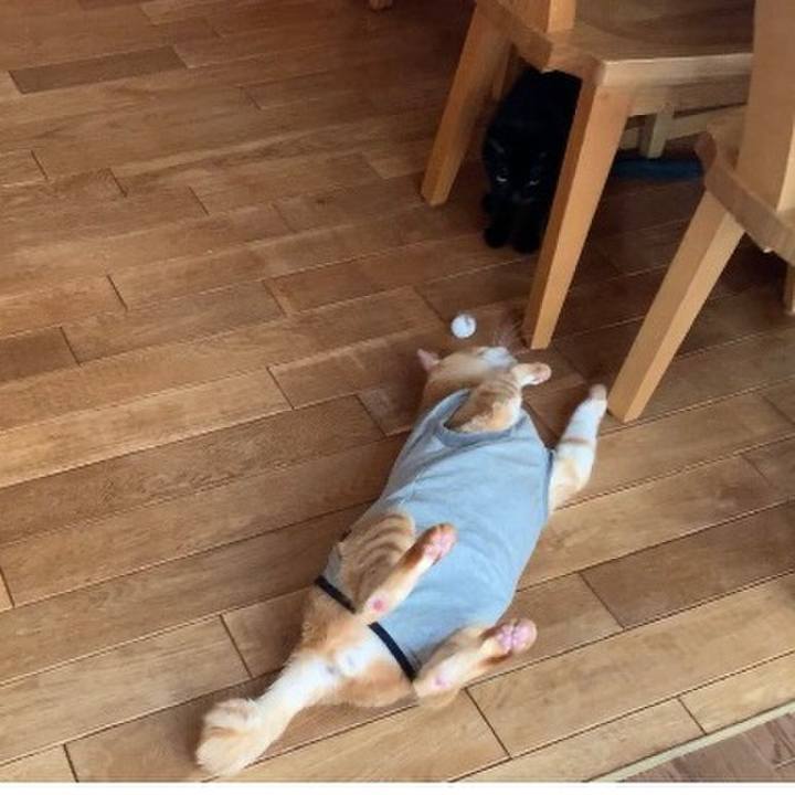 6a2c0232 a765 4e7f bc1b 57ccc165e7af 1642854799913