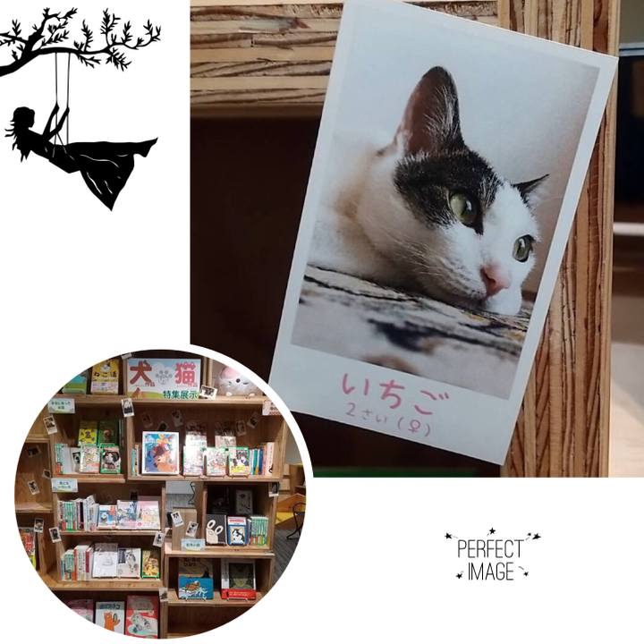 6a2c1cd2 f669 4c90 92bc dfafd492b5c9 1633949279306