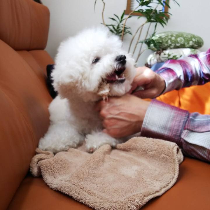 6a2c4075 c30e 4ee3 b3f3 884ac13913af 1513995663759