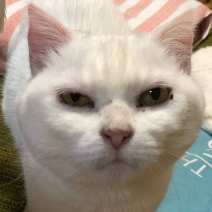 6a2ca59e 230d 4d7c 86df 43937f9b9c0b 1526619872018