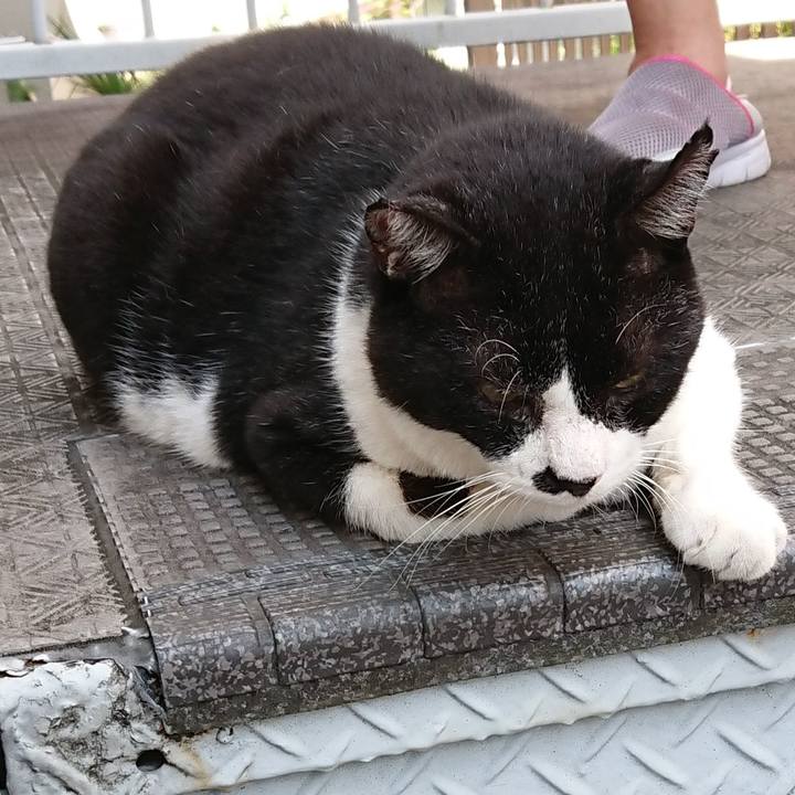 6a2cd568 8fb9 412b 8fd3 cd17e3fc2c05 1661566686340