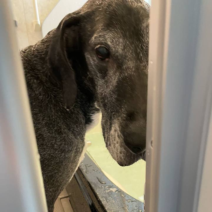 6a2ce48a f185 4721 82a9 1fc55ebb328d 1644041652094