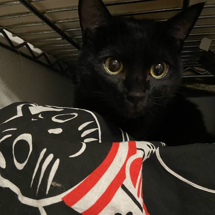 6a2cf8cf a3a9 48ee b250 48526cb46e03 1636888678356