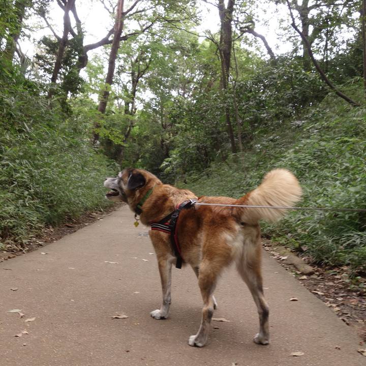 6a2d0216 c8f2 4924 8a25 6dea036c78d3 1569030599594