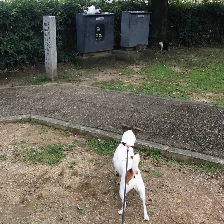 6a2d0295 5ca9 4550 8e67 76b75b9ba102 1536746268139