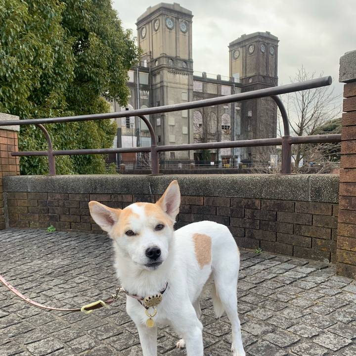 6a2d03cc 2b6a 4880 88a0 61eba330ae54 1675596468732