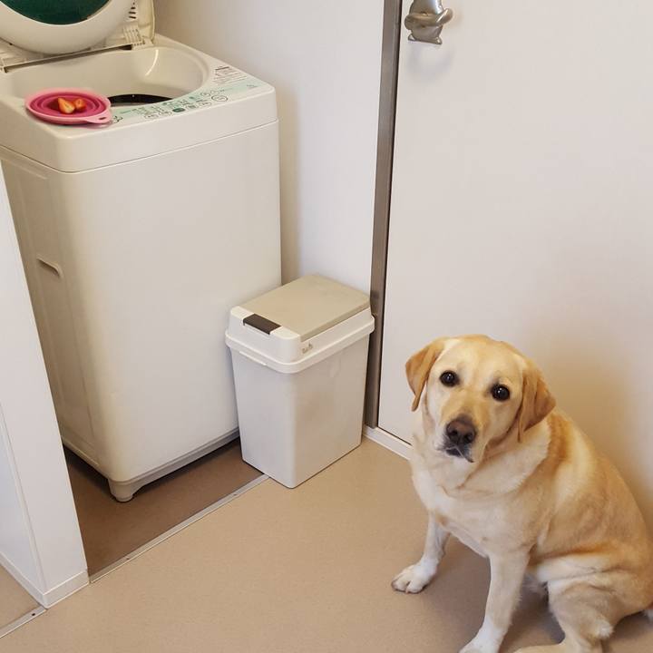 6a2d0431 72e2 4771 a72c 2d2c02ce264e 1526094396600