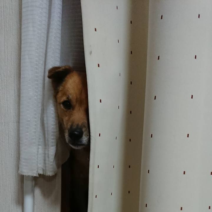 6a2d0deb d637 46ba a3d6 7308ecc1bbb0 1540560850022