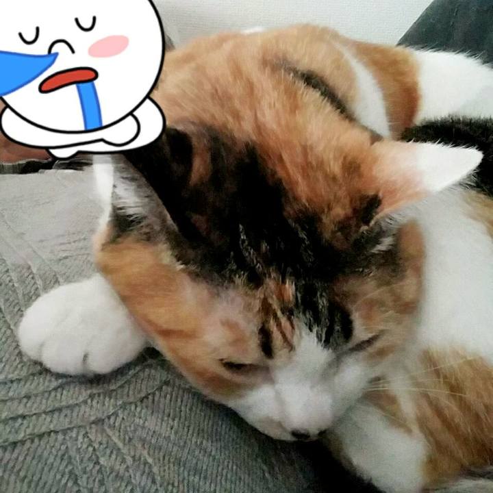 6a2d1306 8e74 4a66 ad6f 9214340f4310 1524436682227