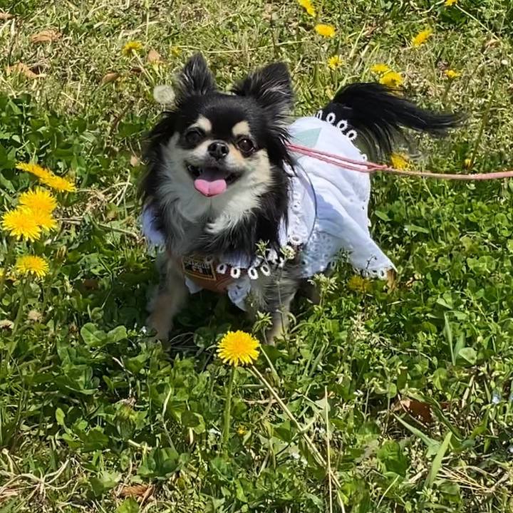 6a2d19ee e5f2 446c 9ca7 c75b9ec534c5 1649739610132