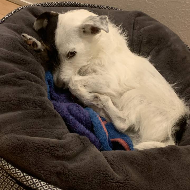 6a2d2fc5 352a 4651 b610 5df65e671cd4 1651586904546