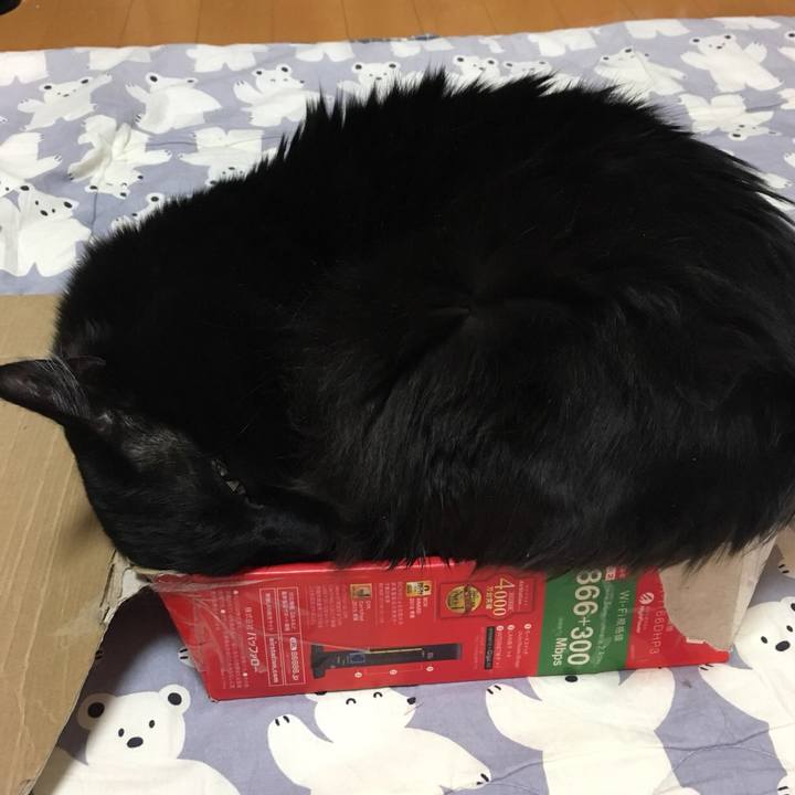 6a2d4300 9853 4526 b2ae 6c3e1ced0b9a 1523788612012