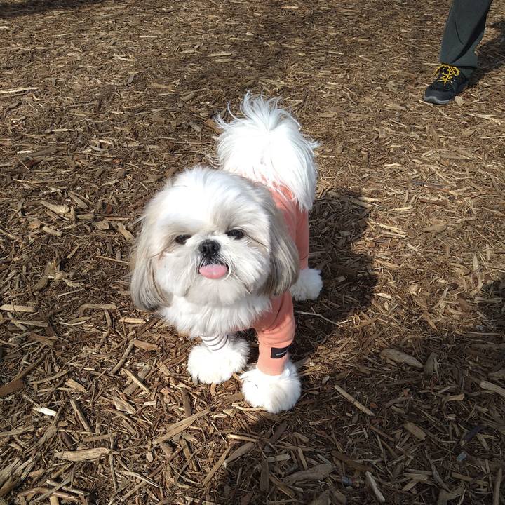 6a2d50e2 dfc4 4578 a8a1 3eda4252060c 1644739307214