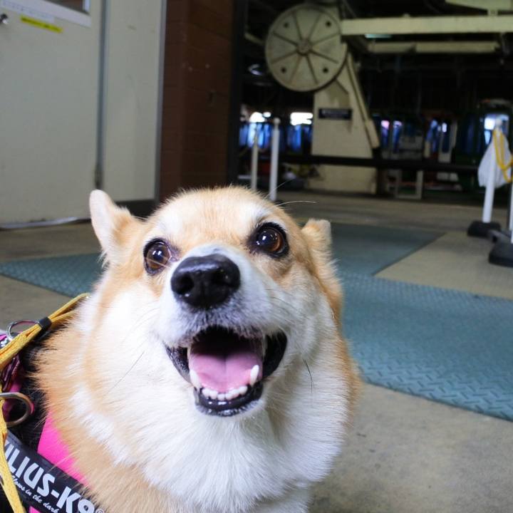 6a2d641b 1dab 43ce 928d 717fd65008f6 1667473878750