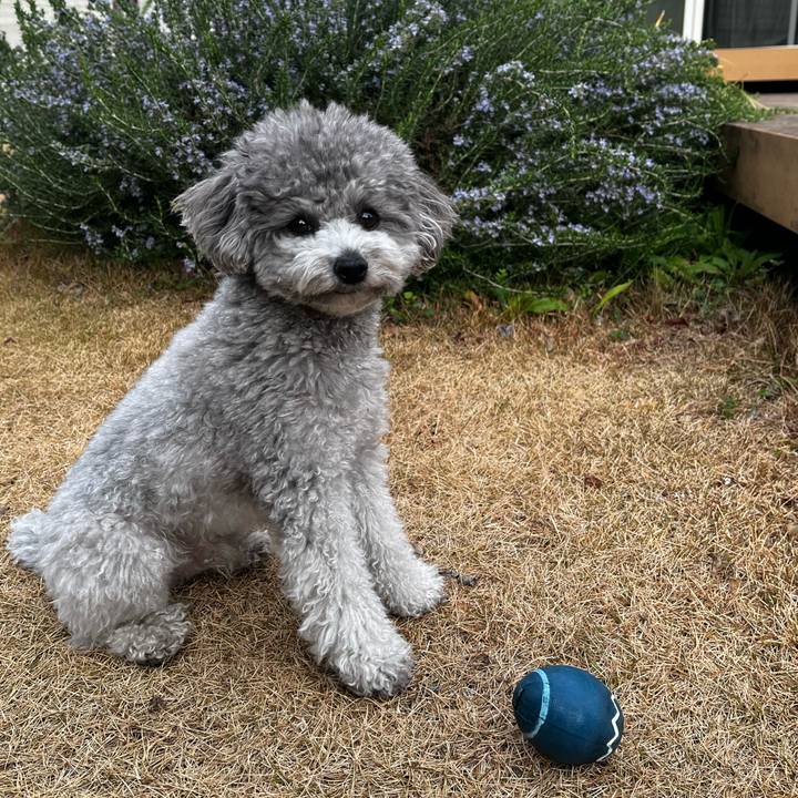 6a2da5b0 389e 46dd 8118 8c0b14a3f8fc 1771111172025