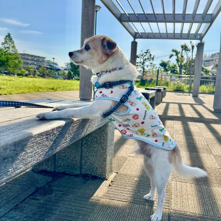 6a2db107 f9a4 4eae a5f2 6cdb7fc2c0af 1715728808152