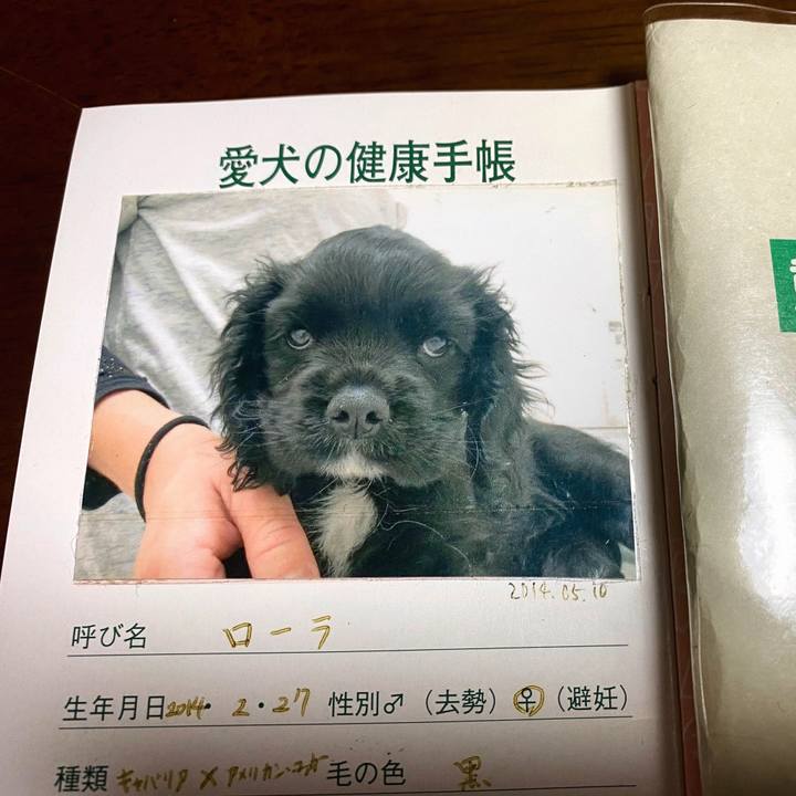 6a2dc0d9 b861 47eb a40f 5e6f664be91d 1589084765423