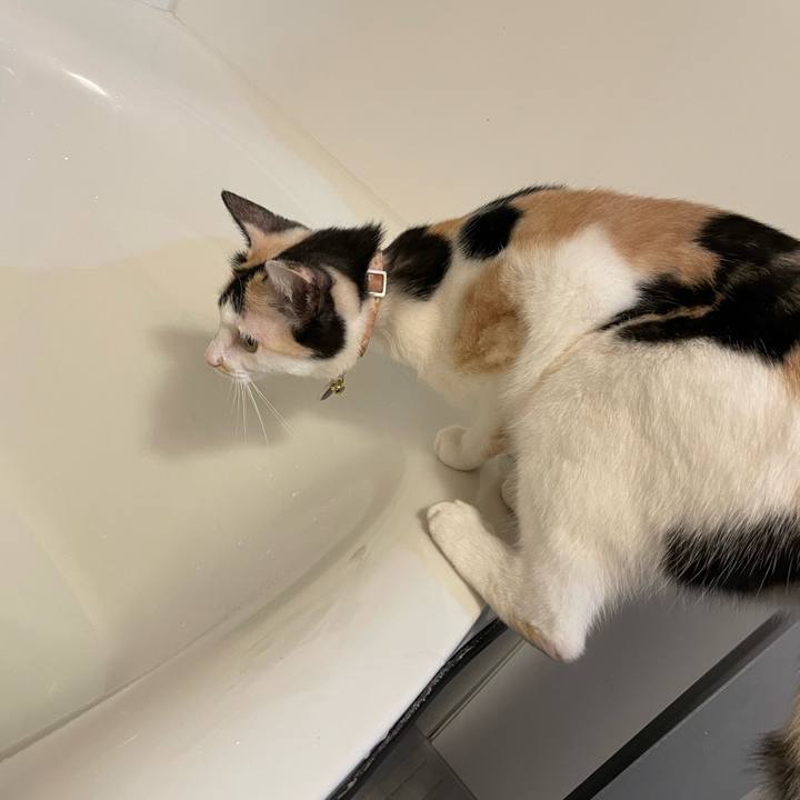 6a2dcf2f c5a4 43ff 8a2a 6af70de2020c 1695556798725