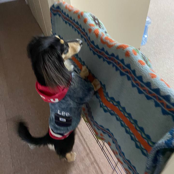 6a2de3dd 0c99 4bb7 98c0 7a4f4dd2e1e6 1709971014428