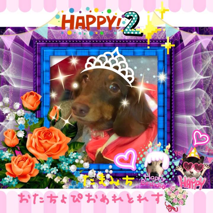 6a2def45 8d7d 476d 8264 9cd3b6eb5845 1510141394221