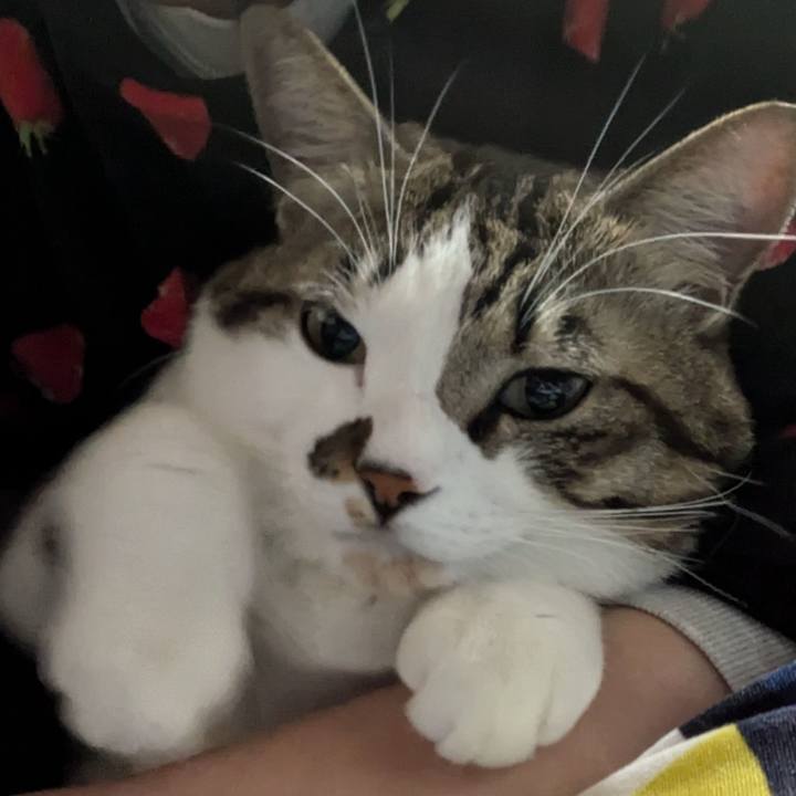 6a2df3fc 632b 4893 835e d0b1bff9035e 1734880370098