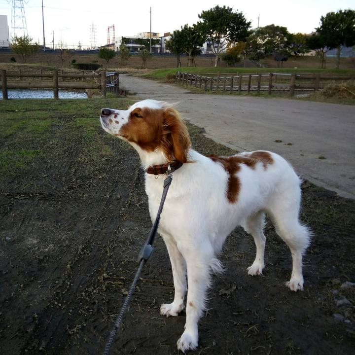 6a2e22ab 0881 4b16 82cc 4e00e602518a 1511512351412