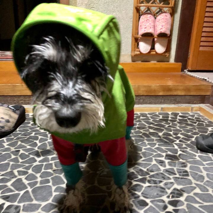 6a2e5dd6 dd69 4b69 95b0 08ef4f67fc52 1668331111512