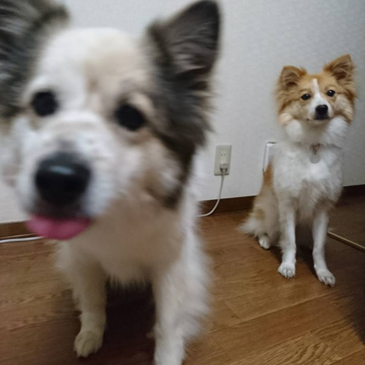 6a2e607c 29ed 4d61 92b6 2e9ac85307dd 1529152536362