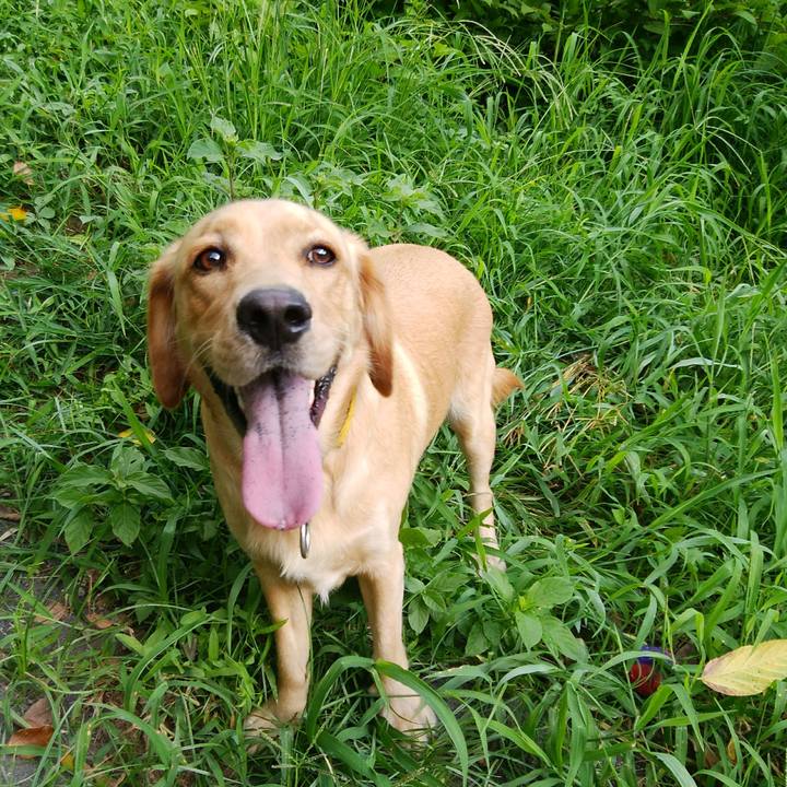 6a2ed687 b04f 46c7 80cf a51bd130055d 1534981318088