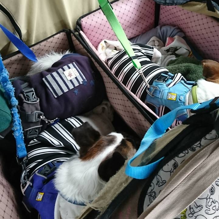 6a2f0767 ec7e 4bc7 acb5 bc5f8af54cc5 1616406092005