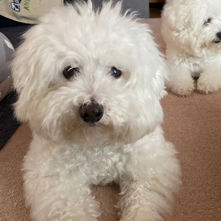 6a2f0e82 88dd 4152 9ab8 f67da9762da3 1631952430023