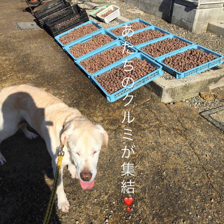 6a2f77f0 e90a 4e92 859e b04795f028bb 1561983226386