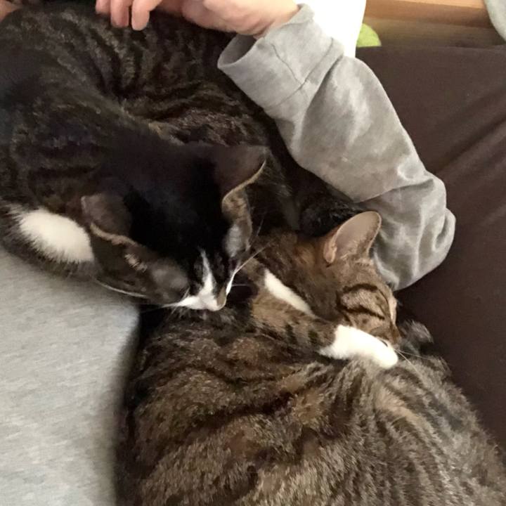 6a2fc5da 6665 4b41 b75a d2e7bd26400e 1517833392491