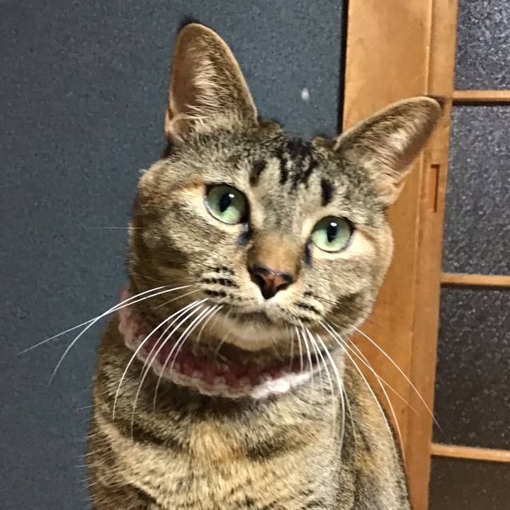 6a2fcaf2 f7af 4d6c 9618 551c86bcb2af 1670501340541