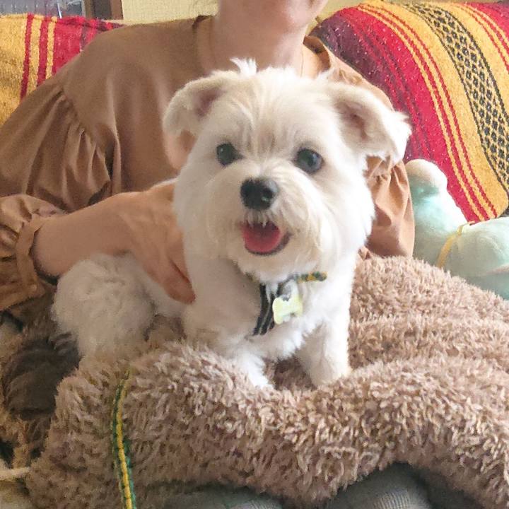 6a306473 9e78 4189 b48e 382bdbcaa0e8 1570524856018