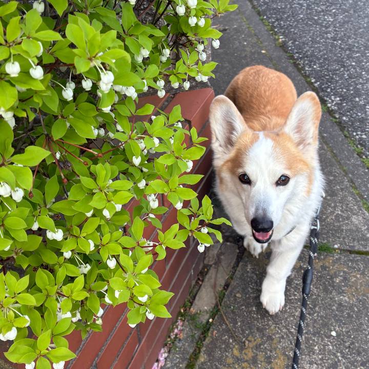 6a312ceb 3943 49dc 84f5 b14884433b95 1776048961744