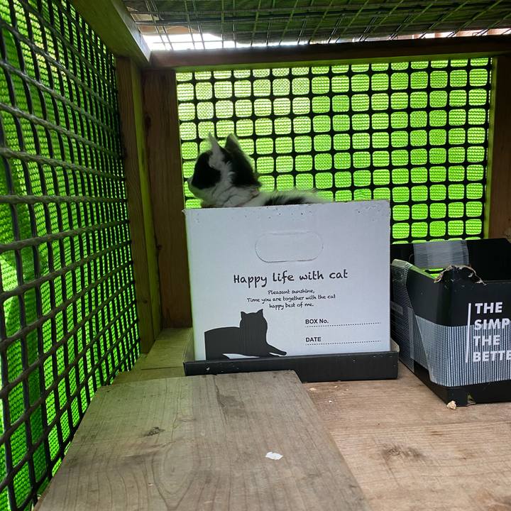 6a313d51 b02d 42b7 ae79 2a28d1f18db1 1652489303750