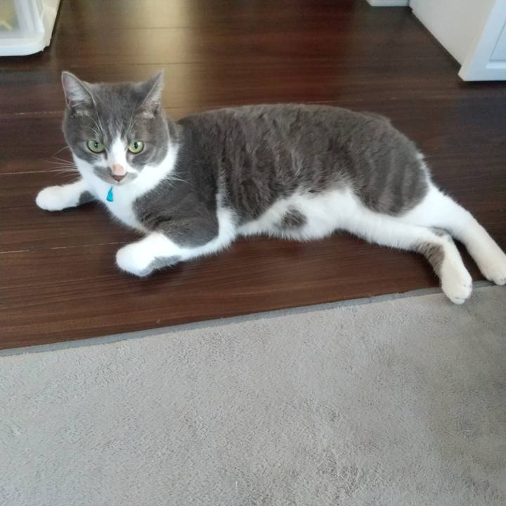 6a31e179 706c 4e45 8b3b 743a212a9497 1626905413016