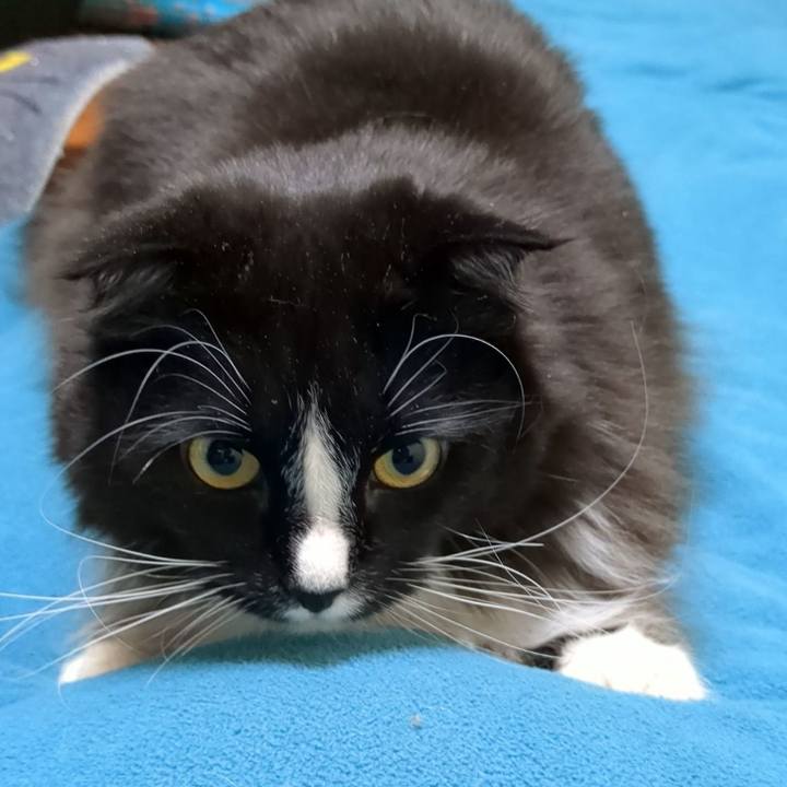 6a3245ef 916a 4183 baf2 18ddbb92082b 1678022288421