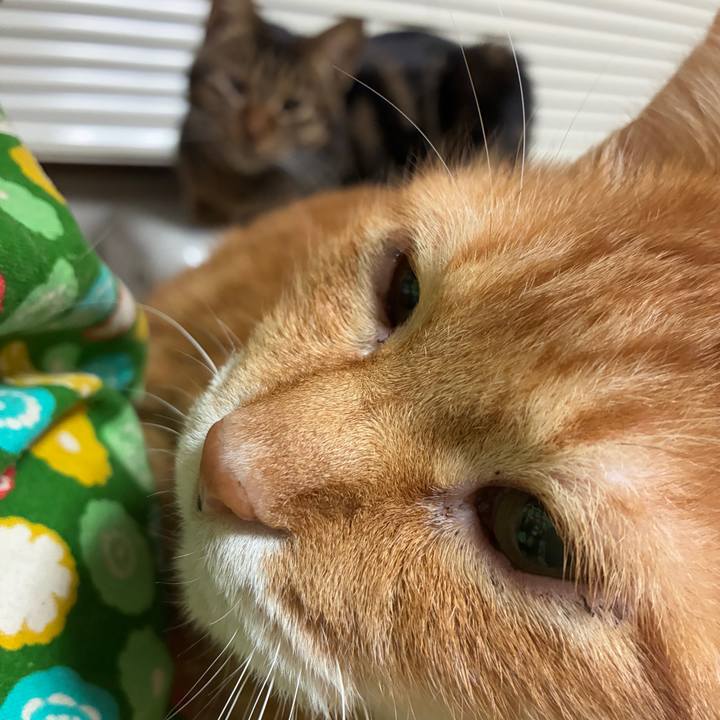 6a325f09 c7f0 4014 af19 2014c056ab1a 1766234113790