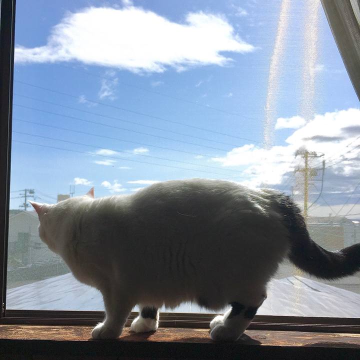 6a3281e6 6859 4edb 9804 d0728787ecf5 1601275432402